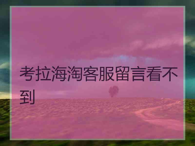考拉海淘客服留言看不到