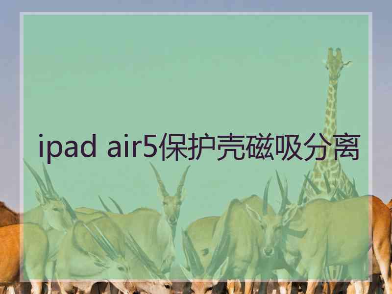ipad air5保护壳磁吸分离