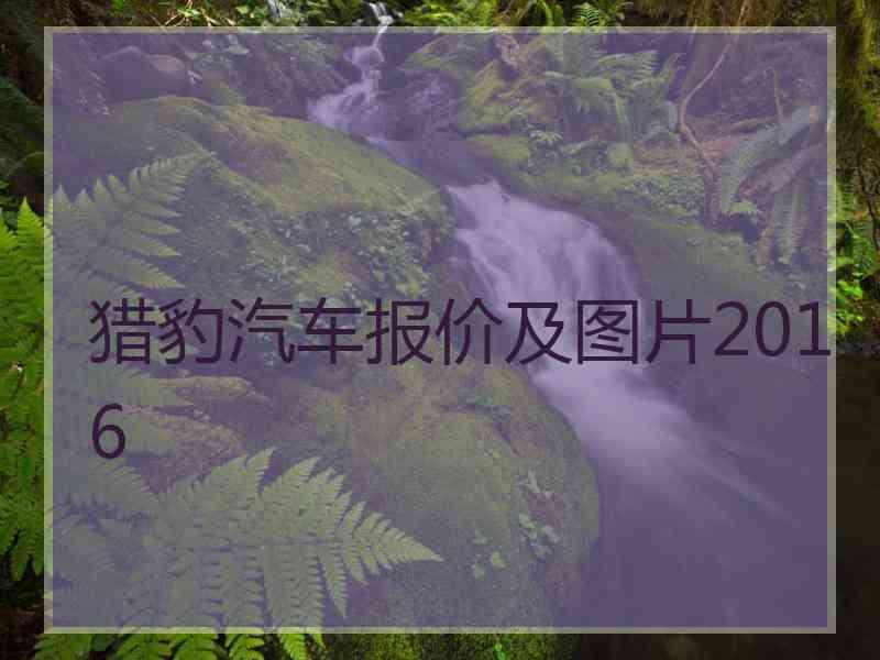 猎豹汽车报价及图片2016