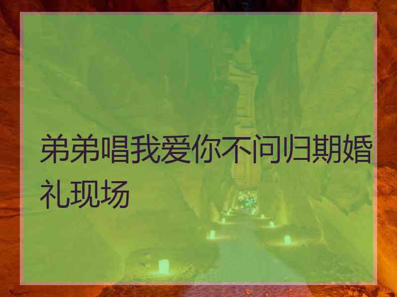 弟弟唱我爱你不问归期婚礼现场