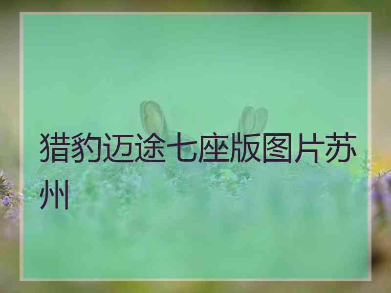 猎豹迈途七座版图片苏州