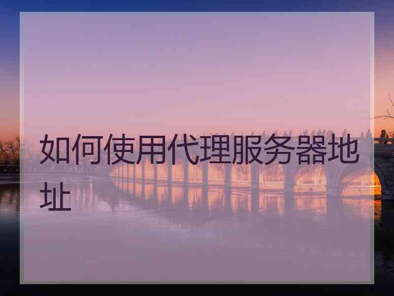 如何使用代理服务器地址