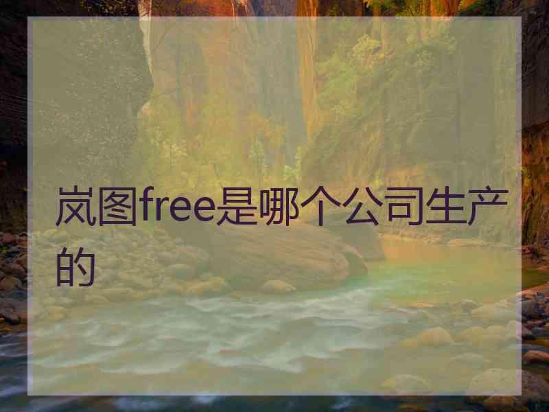 岚图free是哪个公司生产的