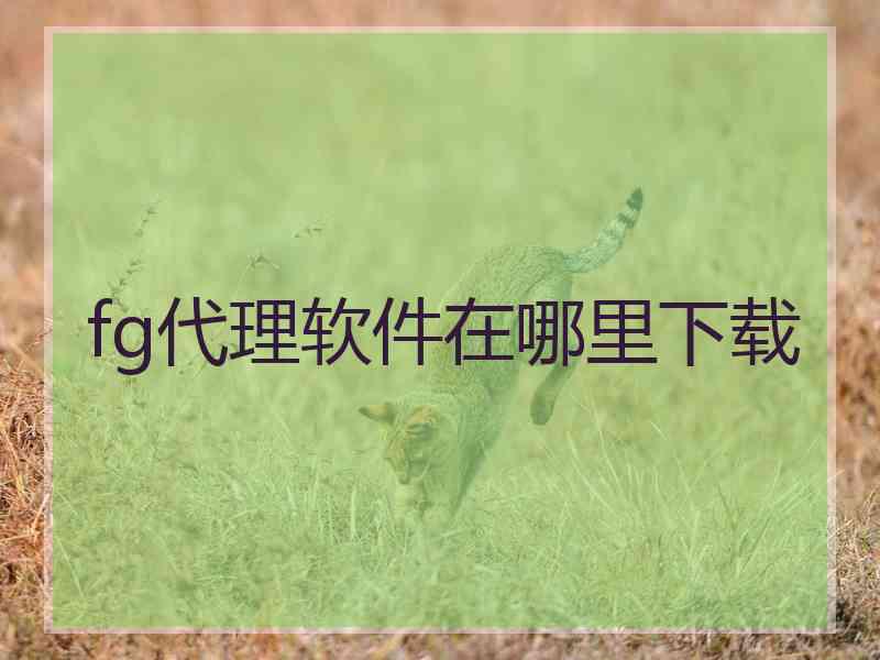 fg代理软件在哪里下载