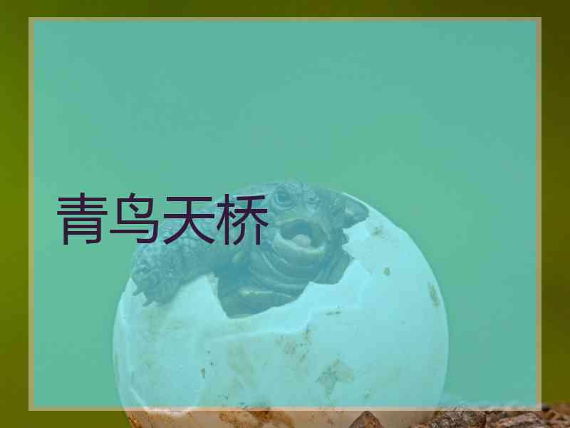 青鸟天桥