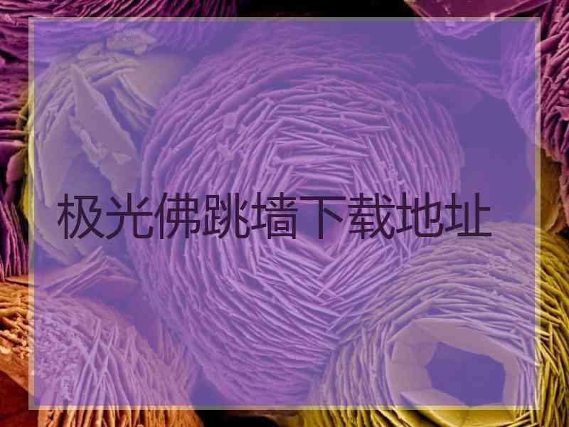 极光佛跳墙下载地址
