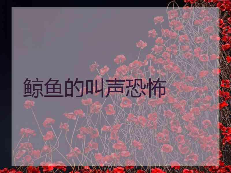 鲸鱼的叫声恐怖