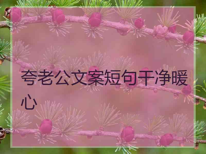 夸老公文案短句干净暖心