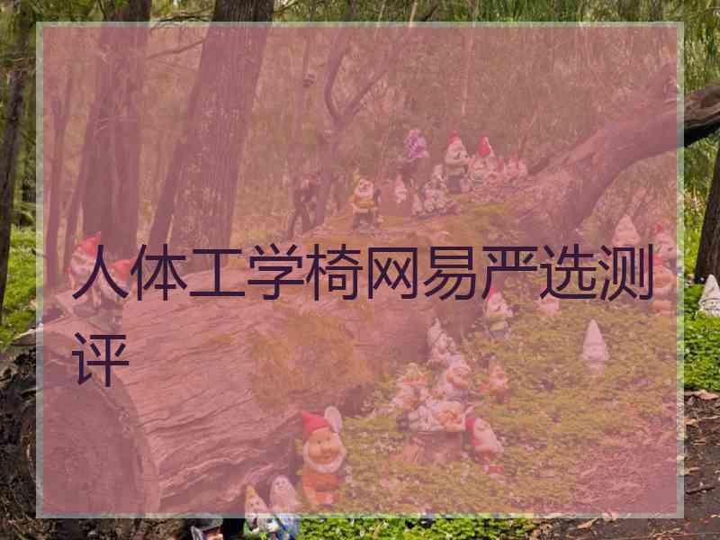 人体工学椅网易严选测评