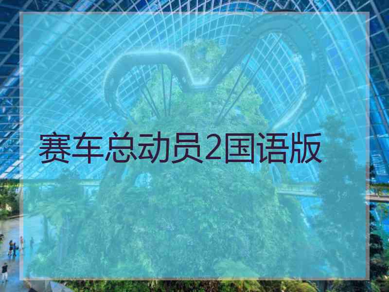 赛车总动员2国语版