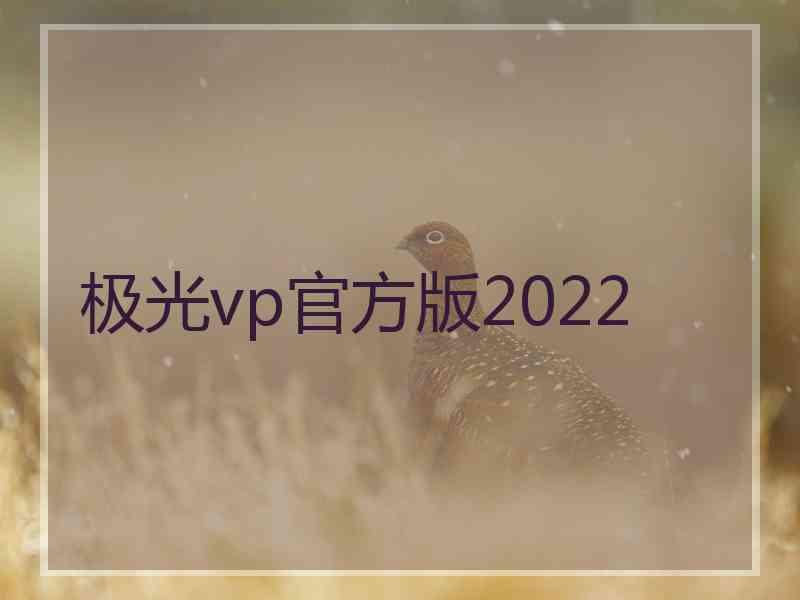 极光vp官方版2022