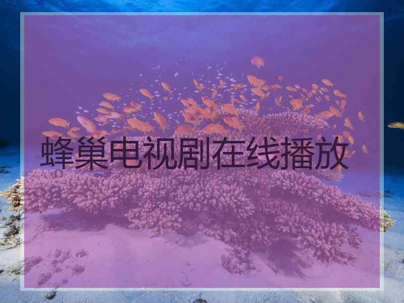 蜂巢电视剧在线播放