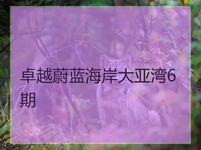 卓越蔚蓝海岸大亚湾6期