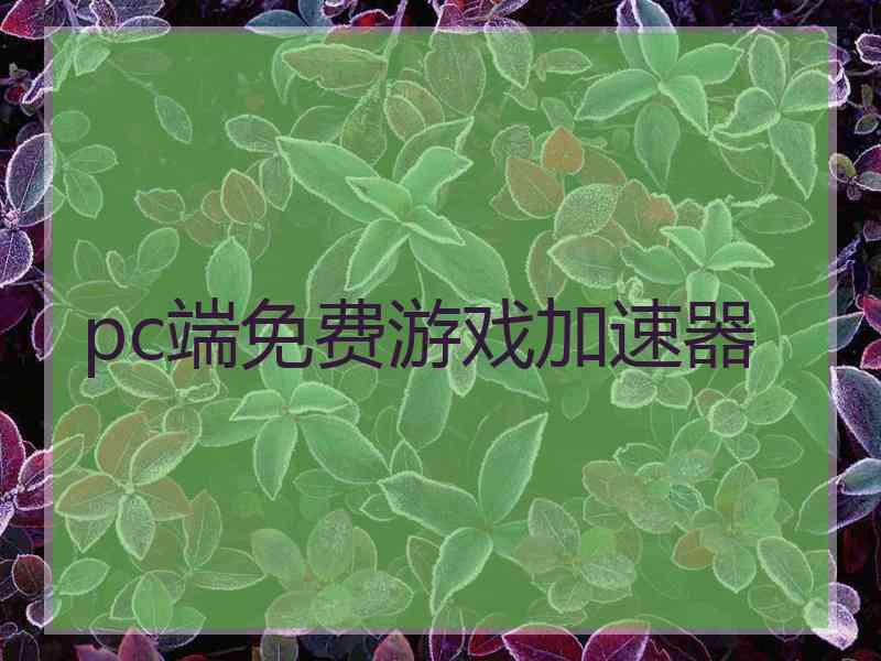 pc端免费游戏加速器