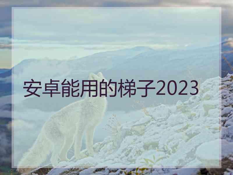 安卓能用的梯子2023