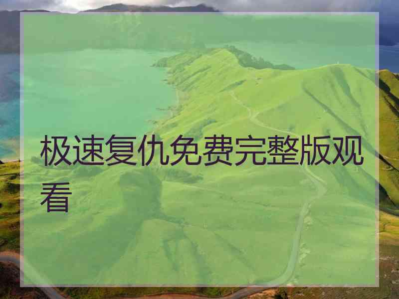 极速复仇免费完整版观看