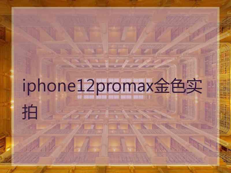 iphone12promax金色实拍