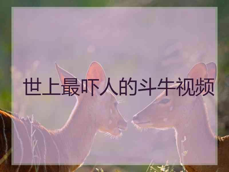 世上最吓人的斗牛视频