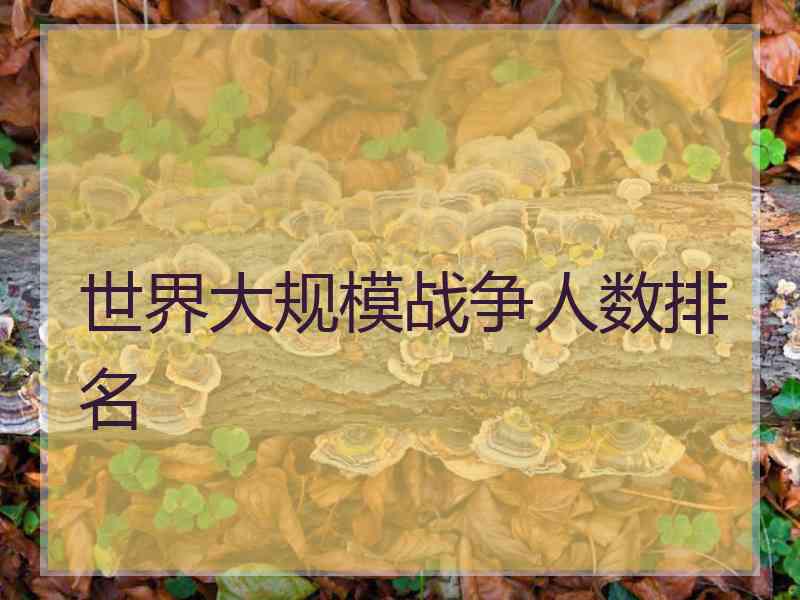 世界大规模战争人数排名