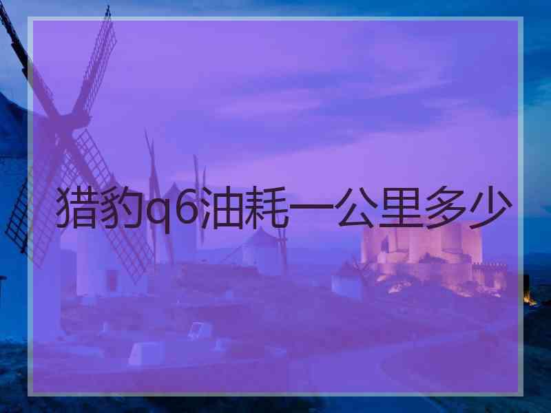 猎豹q6油耗一公里多少