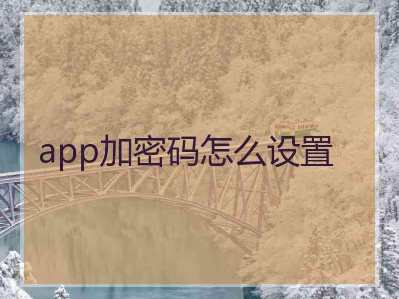 app加密码怎么设置
