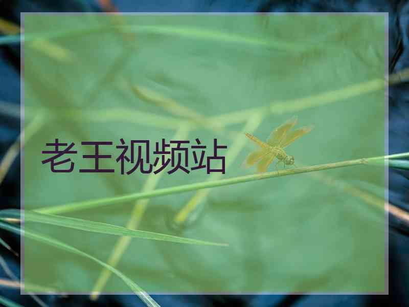 老王视频站