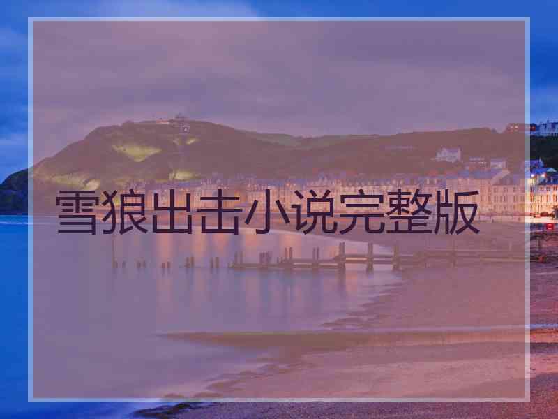 雪狼出击小说完整版