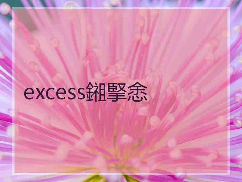 excess鎺掔悆