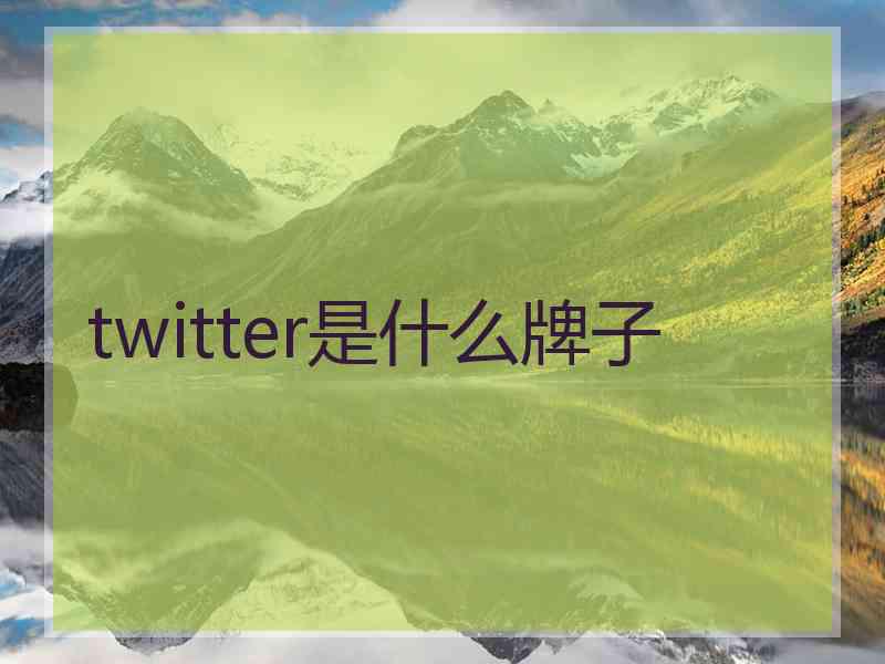 twitter是什么牌子
