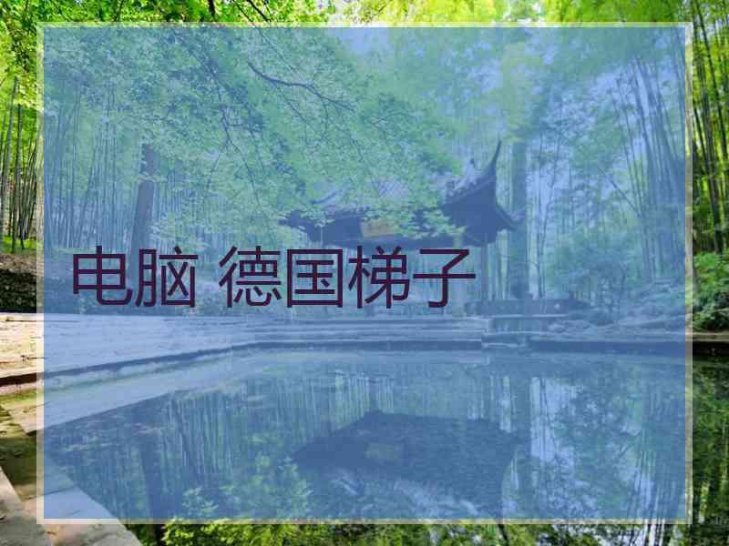 电脑 德国梯子