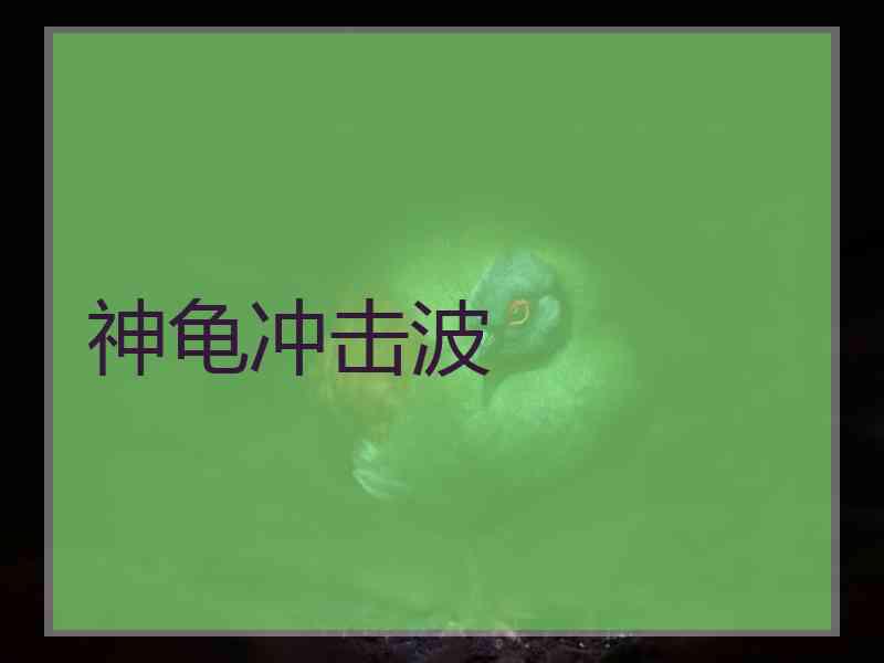 神龟冲击波