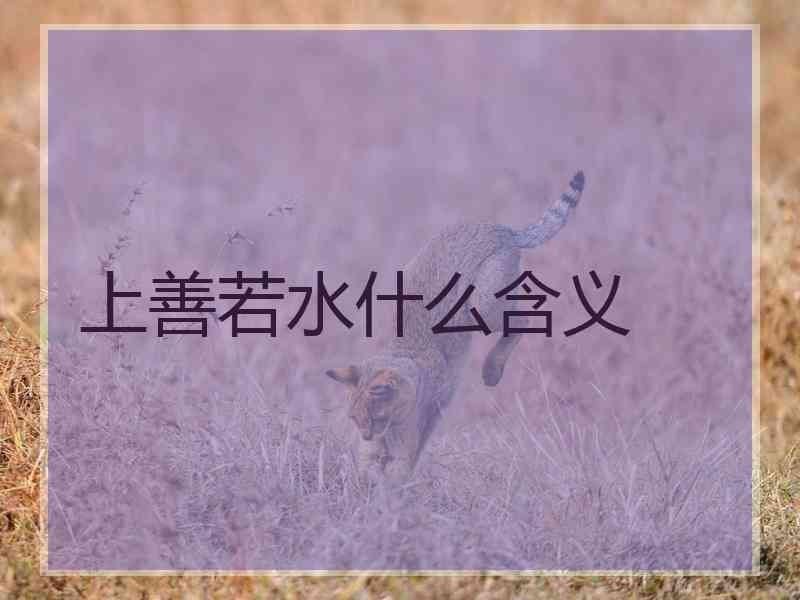 上善若水什么含义