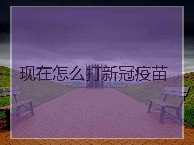 现在怎么打新冠疫苗