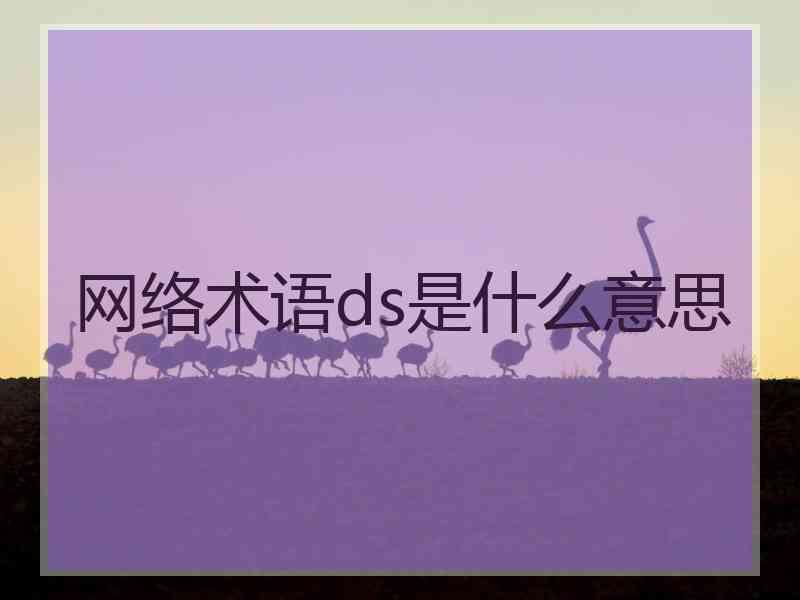 网络术语ds是什么意思