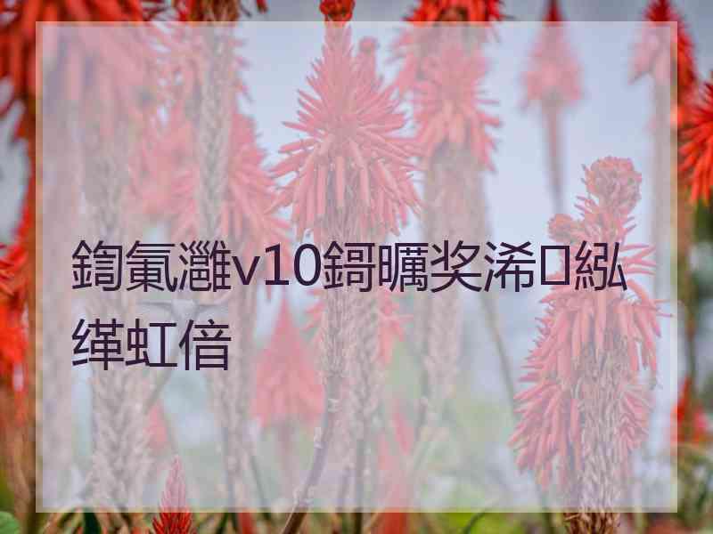 鍧氭灉v10鎶曞奖浠紭缂虹偣