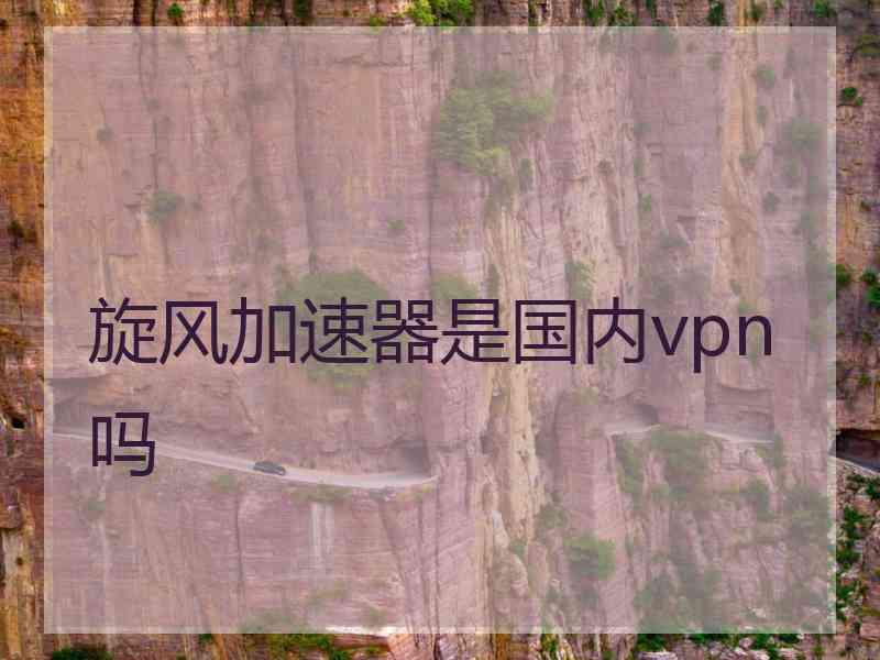 旋风加速器是国内vpn吗