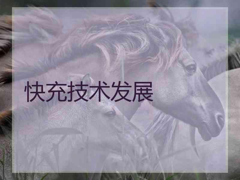 快充技术发展