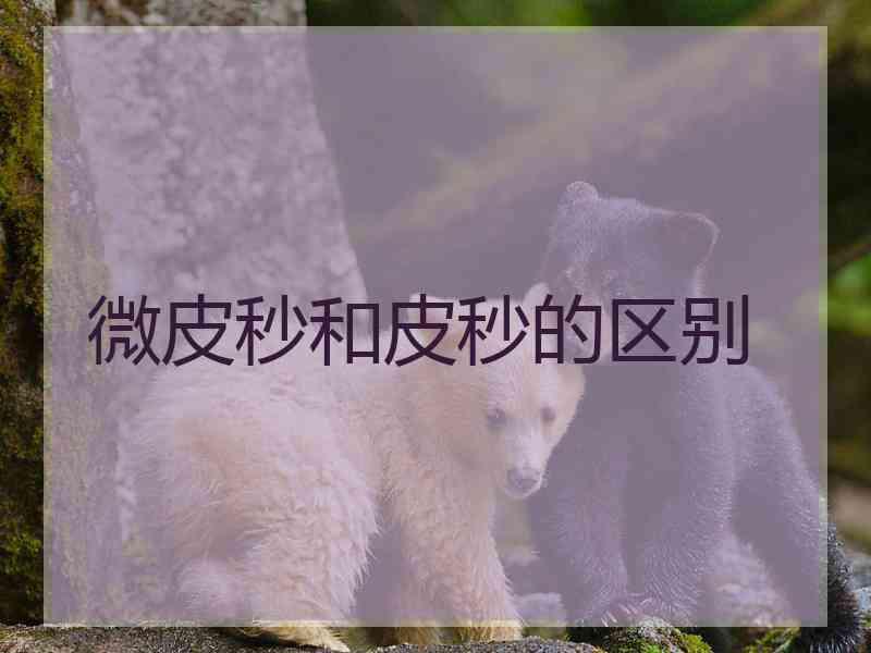微皮秒和皮秒的区别