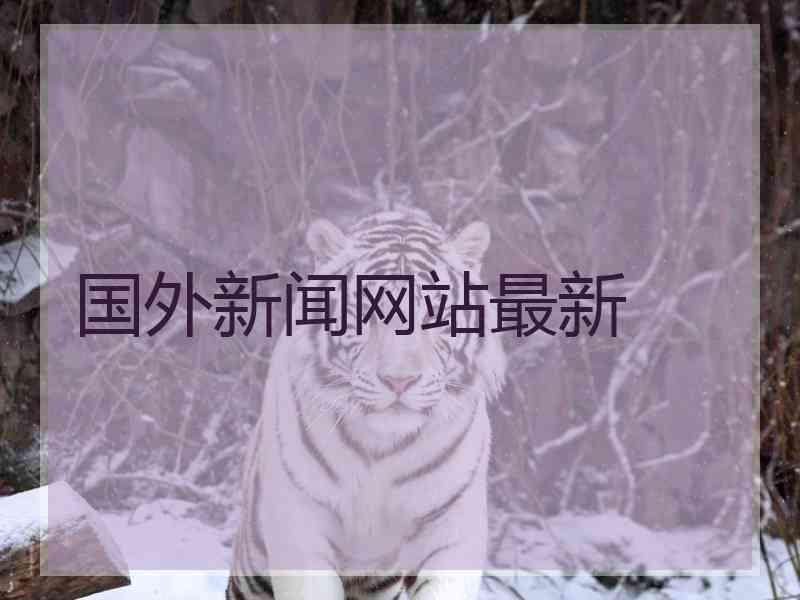 国外新闻网站最新