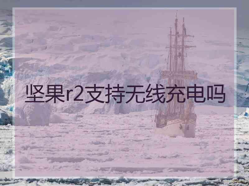 坚果r2支持无线充电吗