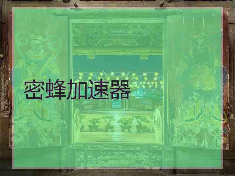 密蜂加速器