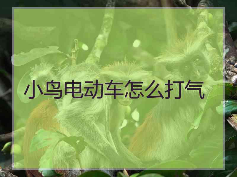 小鸟电动车怎么打气