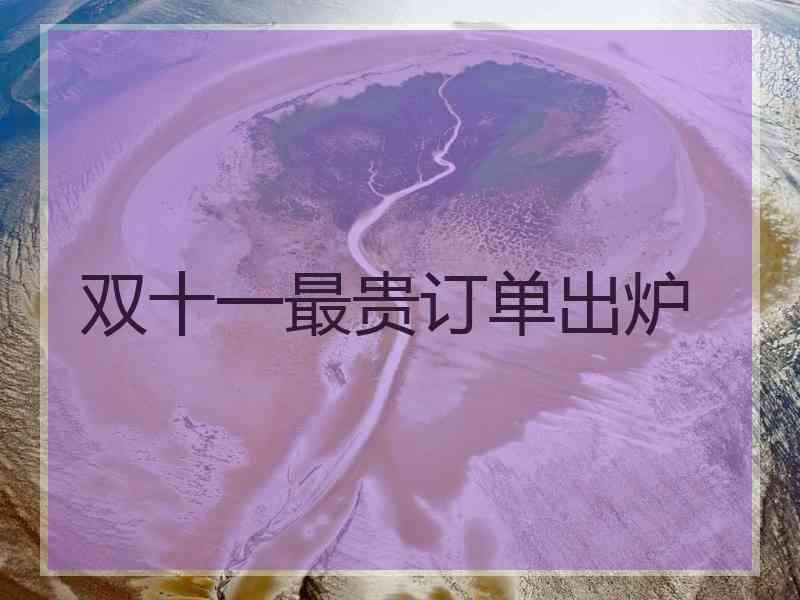 双十一最贵订单出炉