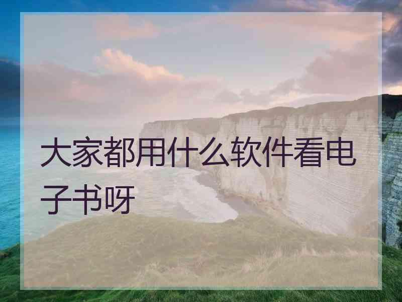 大家都用什么软件看电子书呀