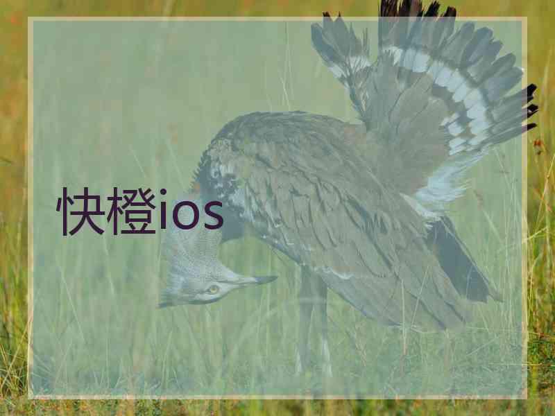 快橙ios