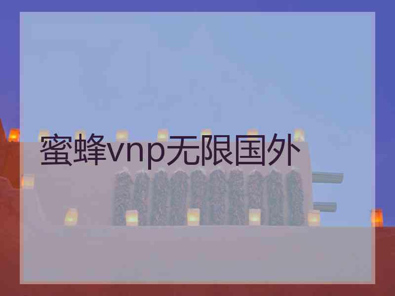 蜜蜂vnp无限国外