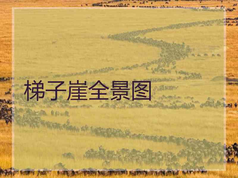 梯子崖全景图