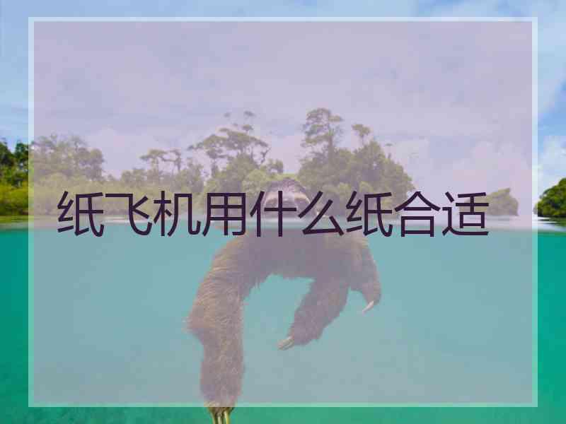 纸飞机用什么纸合适