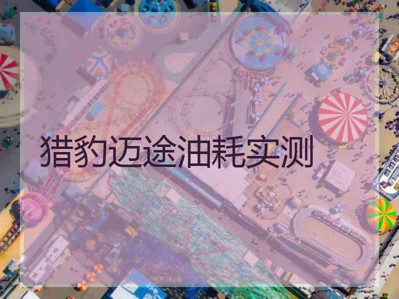 猎豹迈途油耗实测