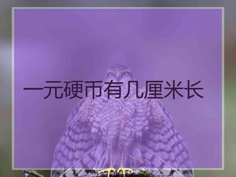 一元硬币有几厘米长